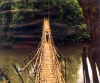 Meghalaya bridge