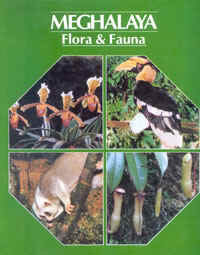Meghalaya - Flora and Fauna