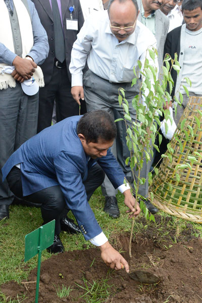 Chief Minister Dr.Mukul Sangma plants a sapling during the World Environment Day observation at Sangmein, Upper Shillong on 5th June 2017