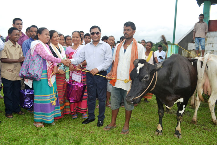 CM Dr Mukul Sangma distributes high yielding Holstein Friesian cows to partners at Ampati 24-07-2017
